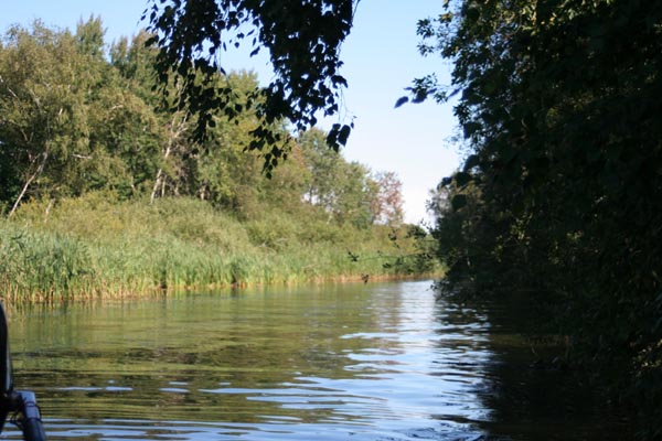 Killikus® Fotographie Killikus® Fotographie